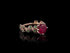 Leaves All Around Ruby Ring - Sydney 2ct  No. 26